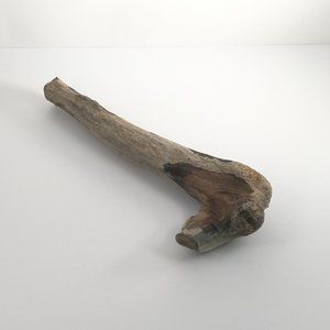 NATURAL DRIFTWOOD Art Sculpture Fish Pet Decor